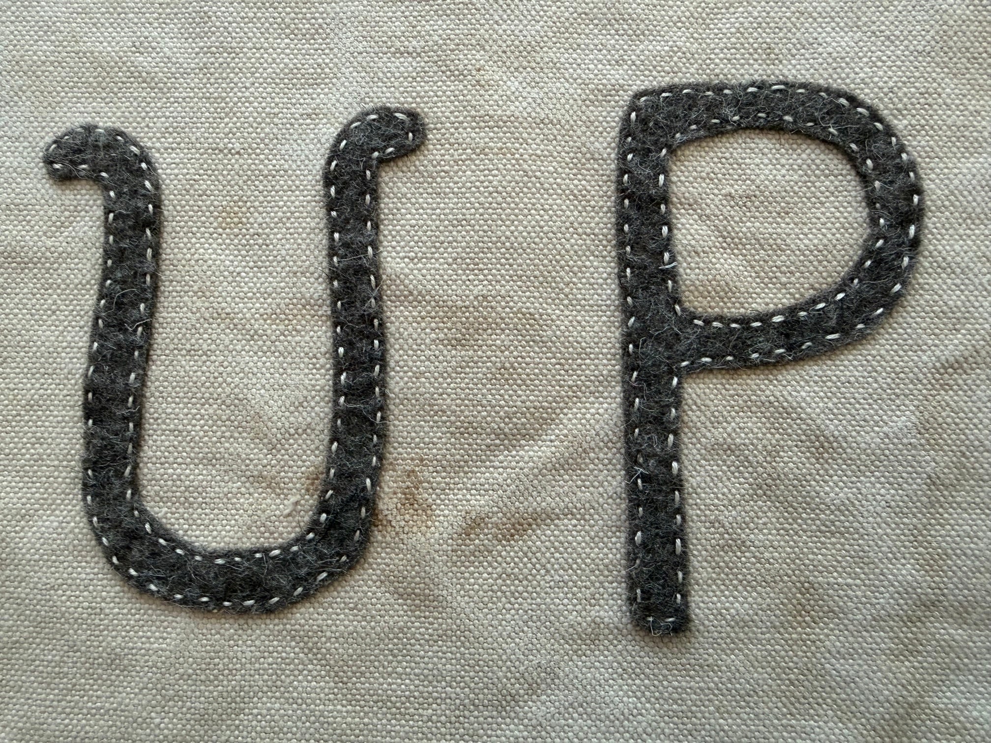 One of a Kind Banner: "saddle up buttercup"